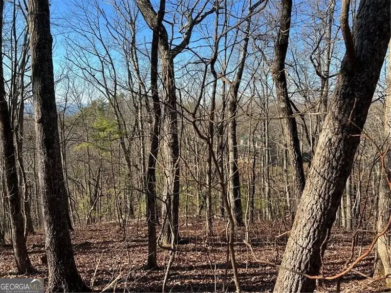 197 Stirratt Road, Ranger, GA 30734 - Image #3