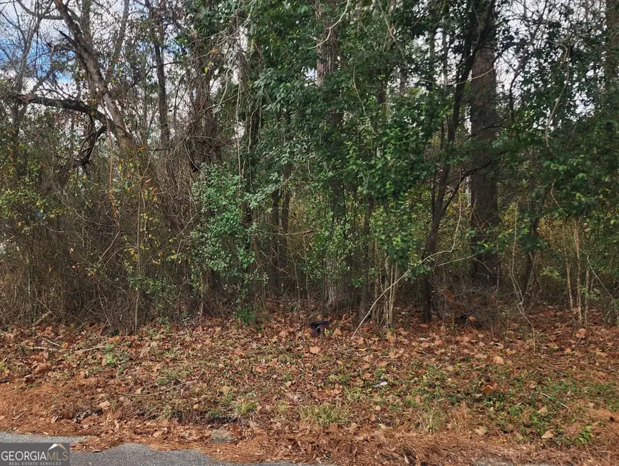 0 Champion Drive, Macon, GA 31211 - Image #2