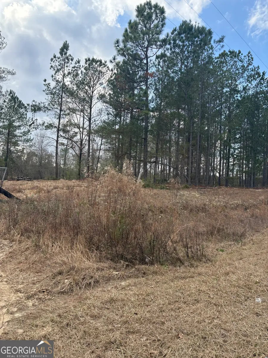 0 Ga Hwy 338 (taylor Grocery Rd), Cadwell, GA 31009 - Image #2