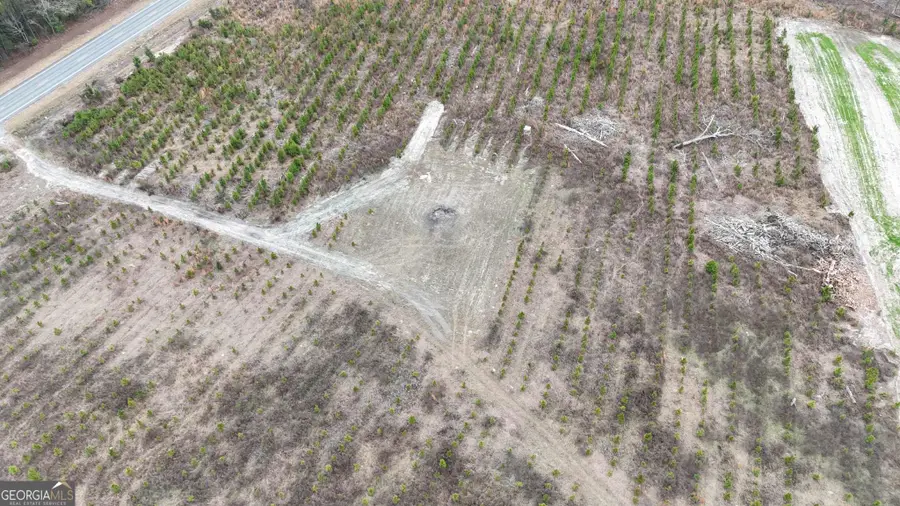 0 Highway 301 #1, Statesboro, GA 30461 - Image #2