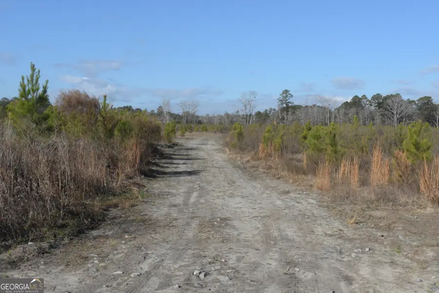 0 Highway 301 #1, Statesboro, GA 30461 - Image #3