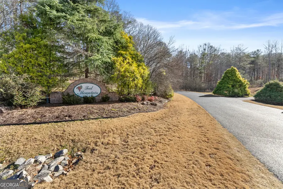 LOT 37 Teel Mountain Lane, Cleveland, GA 30528 - Image #2