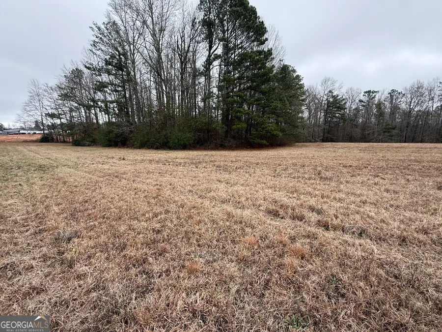 0 Highway 36 W, Barnesville, GA 30204 - Image #2