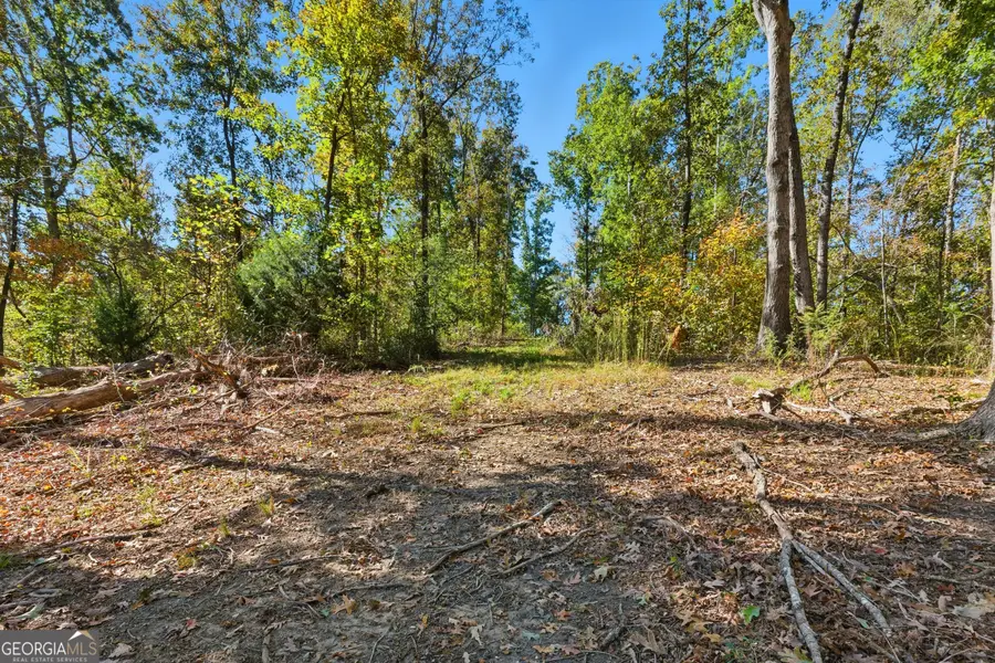 0 Broad River Rd, Eastanollee, GA 30538 - Image #3