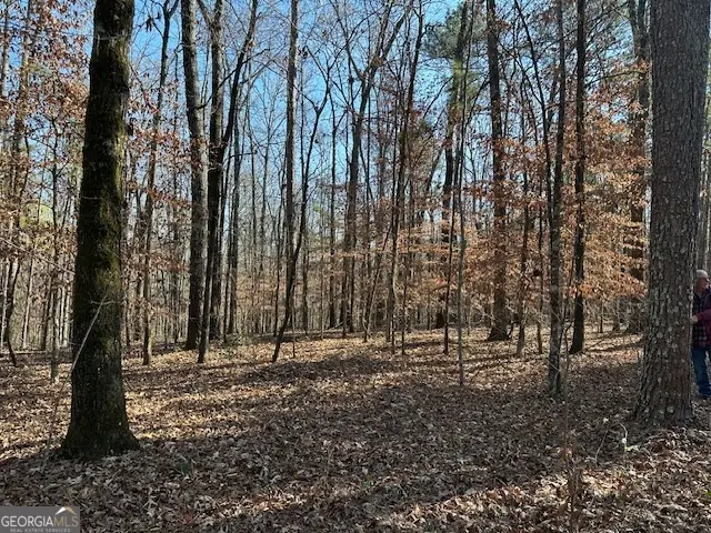 331 Worsham Road, Culloden, GA 31016 - Image #3