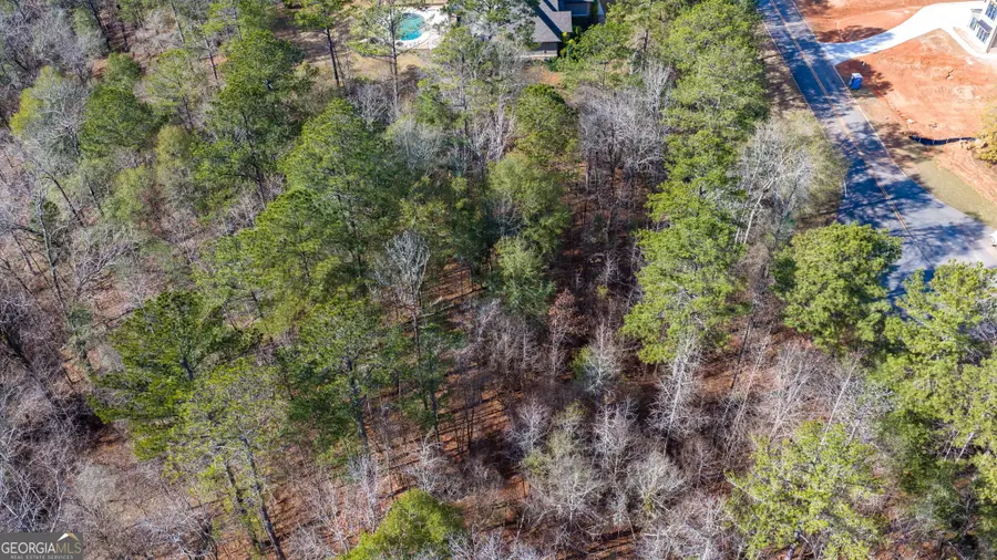 103 Ranch Court, Forsyth, GA 31029 - Image #3
