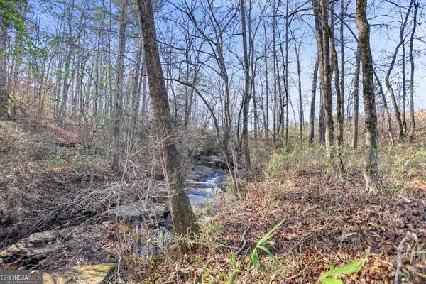 48.22 Franklin Parkway, Franklin, GA 30217