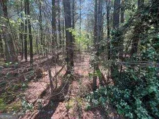 0 Troupe Smith Road Sw, Conyers, GA 30094