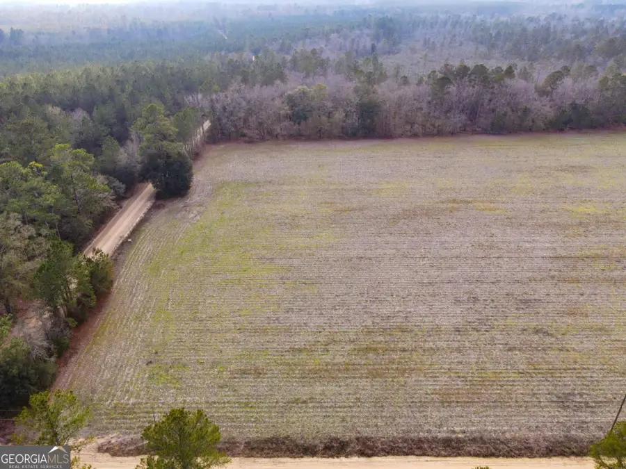 0 Floyd Road #LOT 7, Pembroke, GA 31321 - Image #2