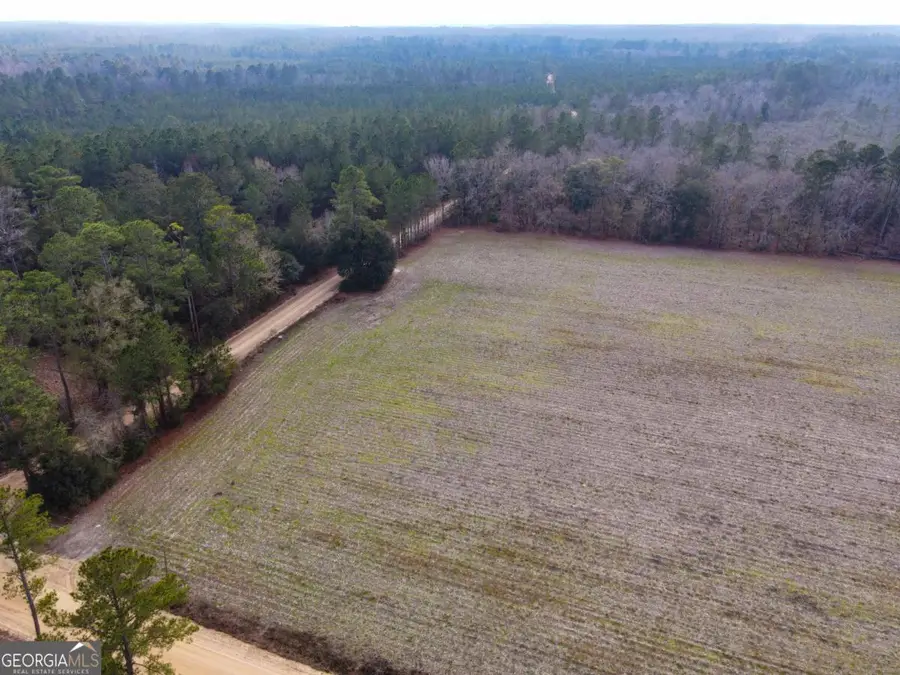 0 Floyd Road #LOT 7, Pembroke, GA 31321 - Image #3