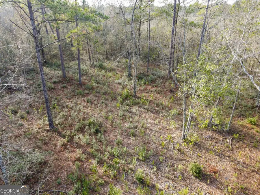 0 Floyd Road #LOT 8, Pembroke, GA 31321 - Image #3