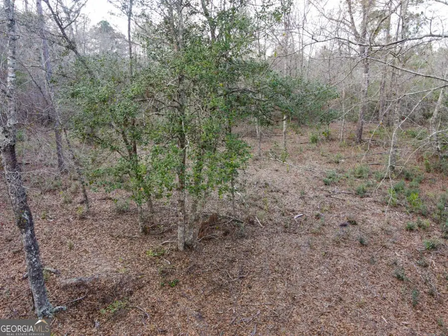 0 Floyd Road #LOT 9, Pembroke, GA 31321 - Image #3