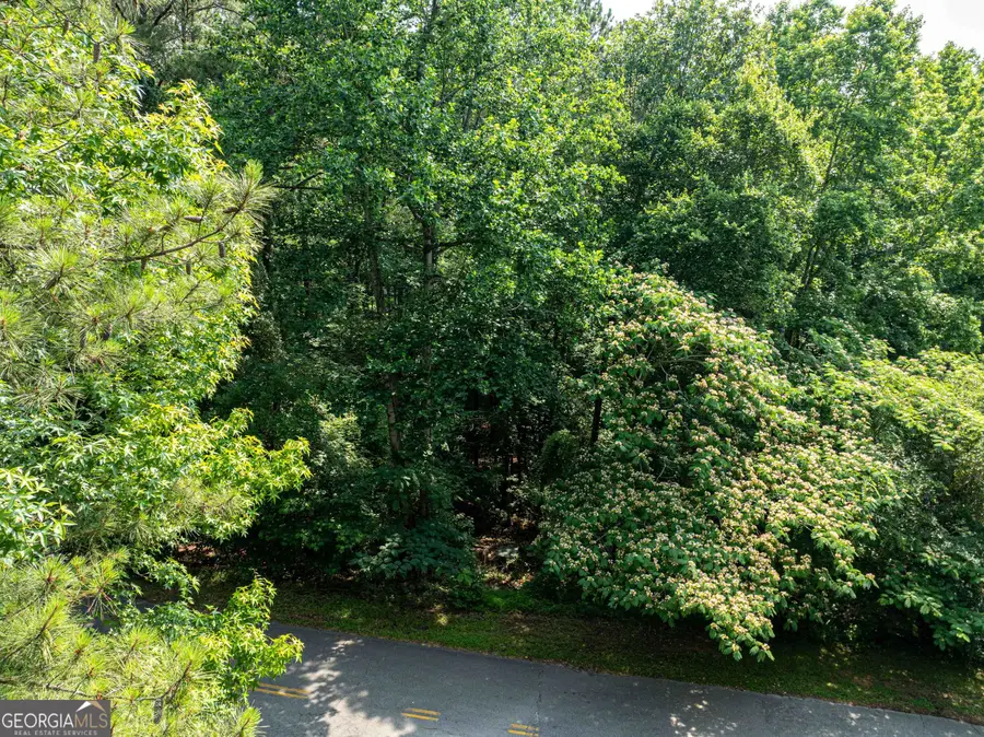 LOT 078 Cardinal Drive, Monticello, GA 31064 - Image #3
