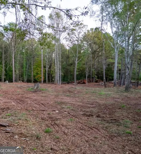 TRACT 4 Seven Islands Road, Madison, GA 30650