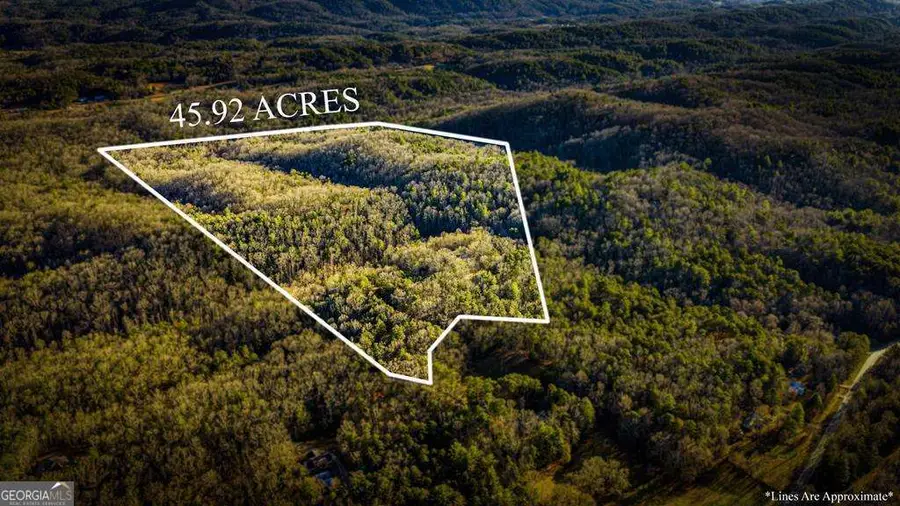 178 Arp Road, Mineral Bluff, GA 30559 - Image #2