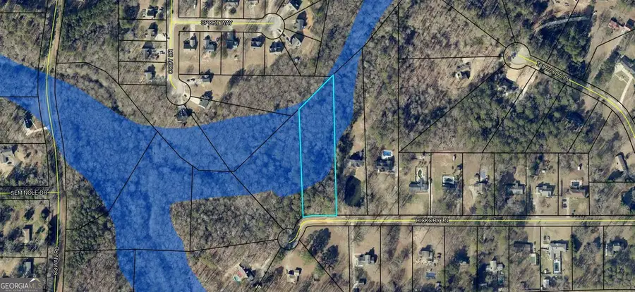 441 Hickory Lane, Griffin, GA 30223 - Image #2