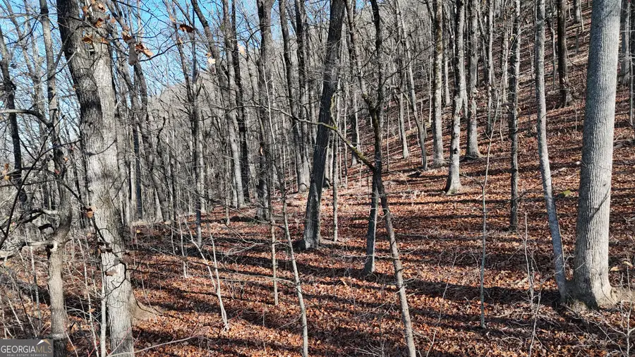 LOT 45 Mountainside Drive, Cleveland, GA 30528 - Image #3