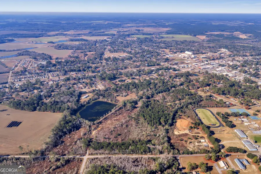 0 Randall Whiddon Dr, Ashburn, GA 31714 - Image #2