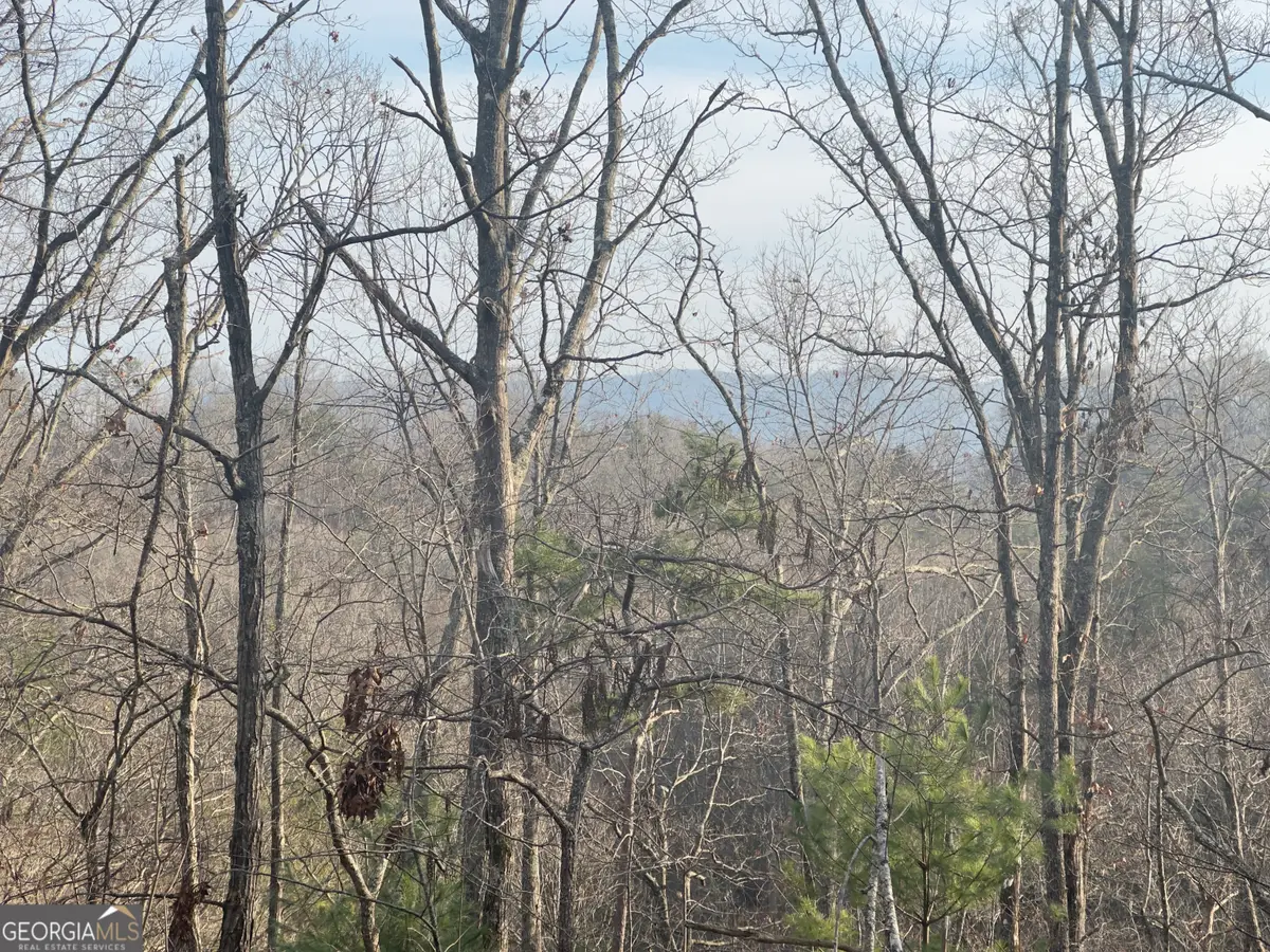 TRACT 1 Century Lane, Blue Ridge, GA 30513 - Image #1