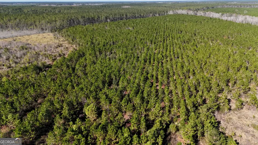 19 AC Owens Road, Odum, GA 31555 - Image #3