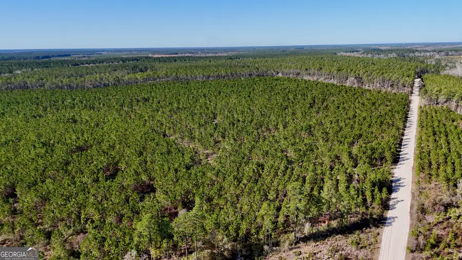 28 AC Owens Road, Odum, GA 31555 - Image #3