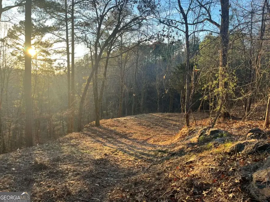 331 Paladin Drive Ne, Ranger, GA 30734 - #3