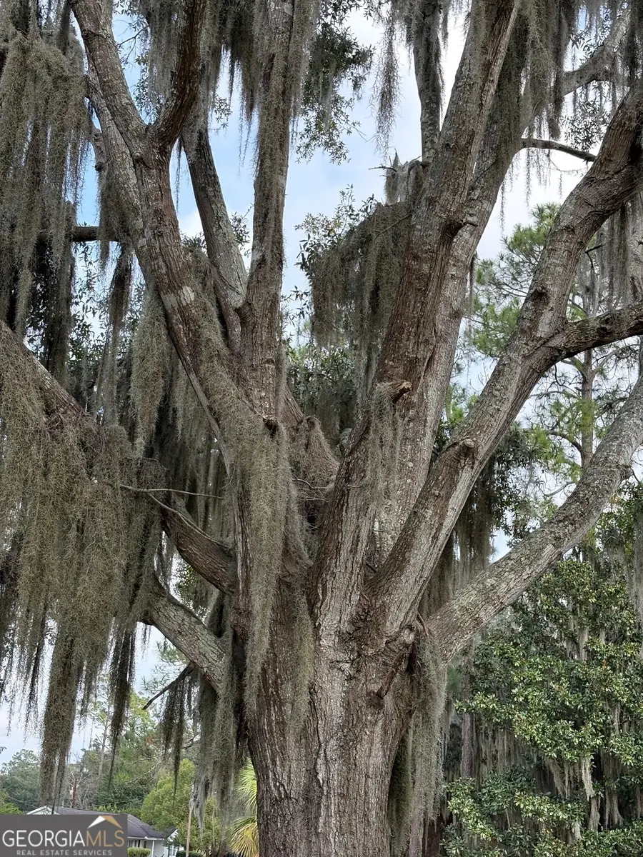 601 Fort King George Drive, Darien, GA 31305 - Image #3