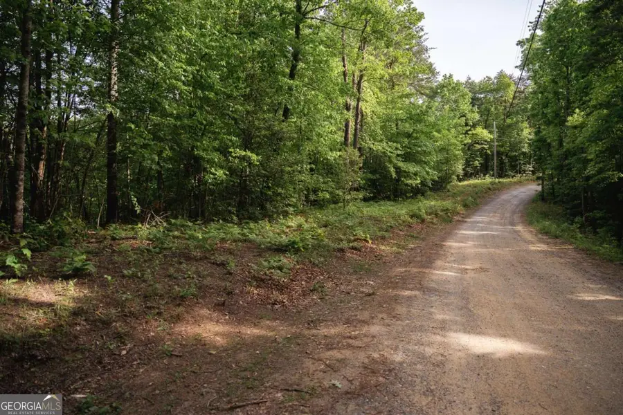 TRACT 2 Century Lane, Blue Ridge, GA 30513 - Image #3