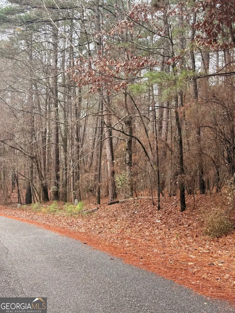 0 Goldeneye Court, Monticello, GA 31064 - Image #2