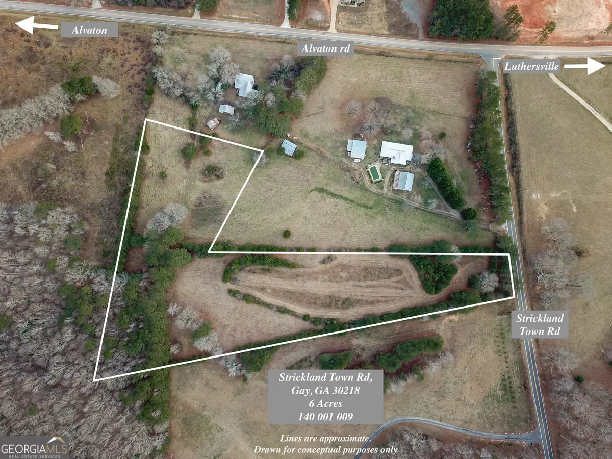 *6 ACRES* Strickland Town Road, Gay, GA 30218 - Image #1