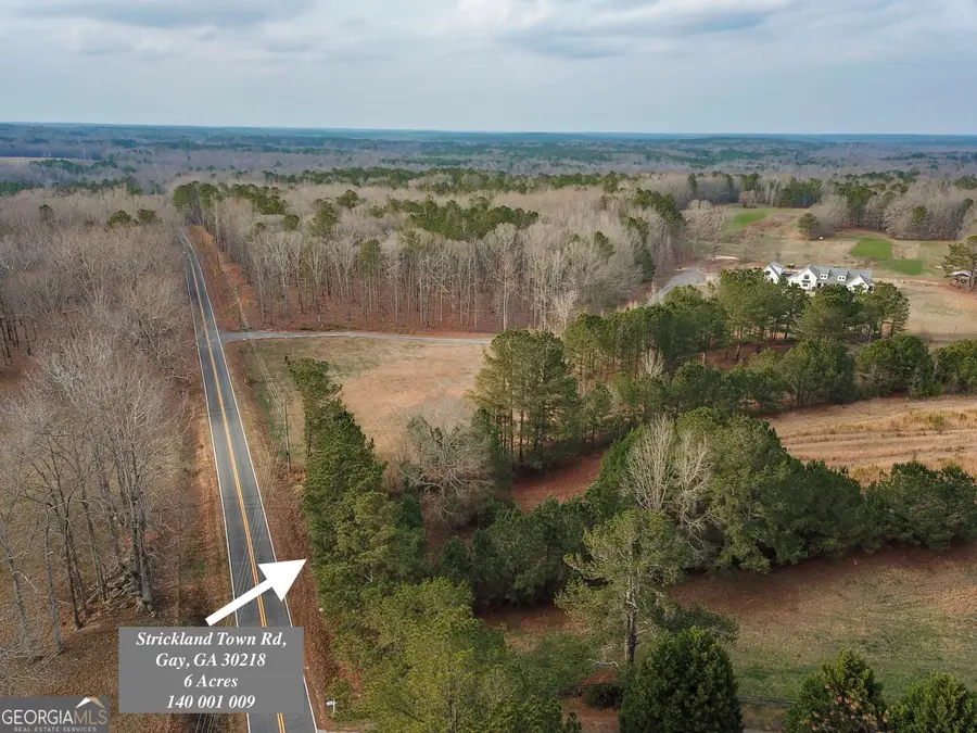 *6 ACRES* Strickland Town Road, Gay, GA 30218 - Image #2