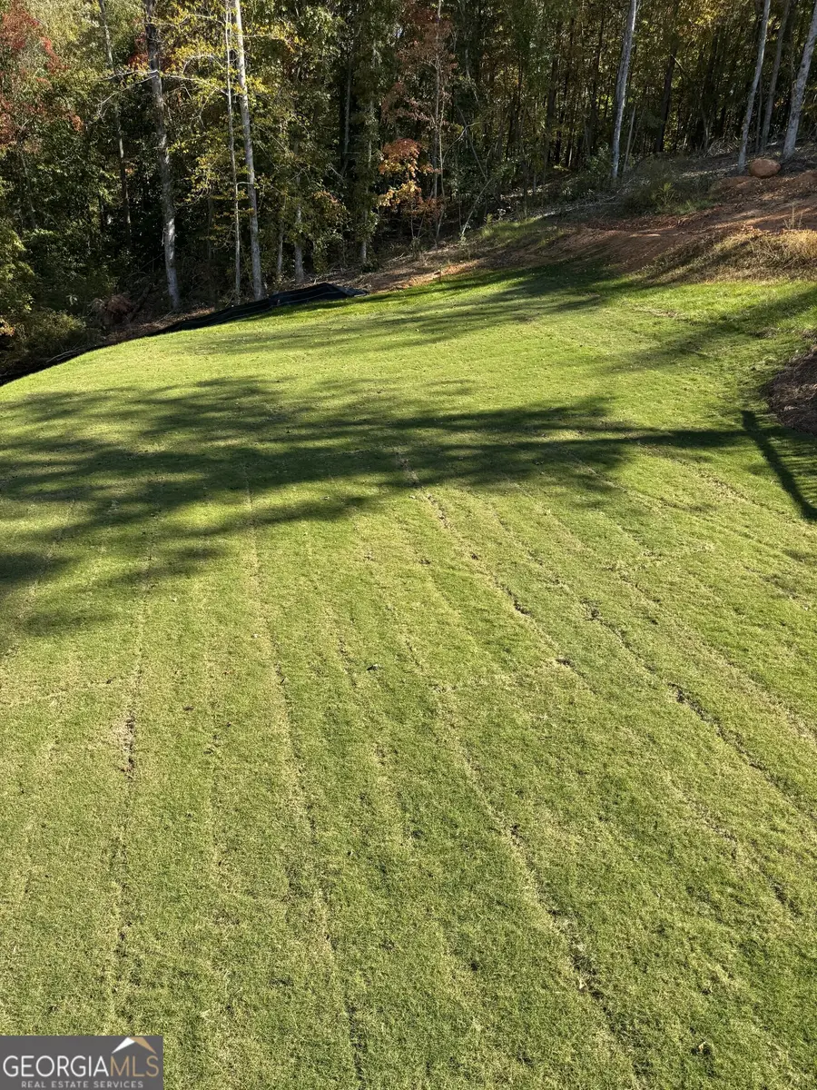 105 Eryn Terrace, Covington, GA 30014 - Image #3