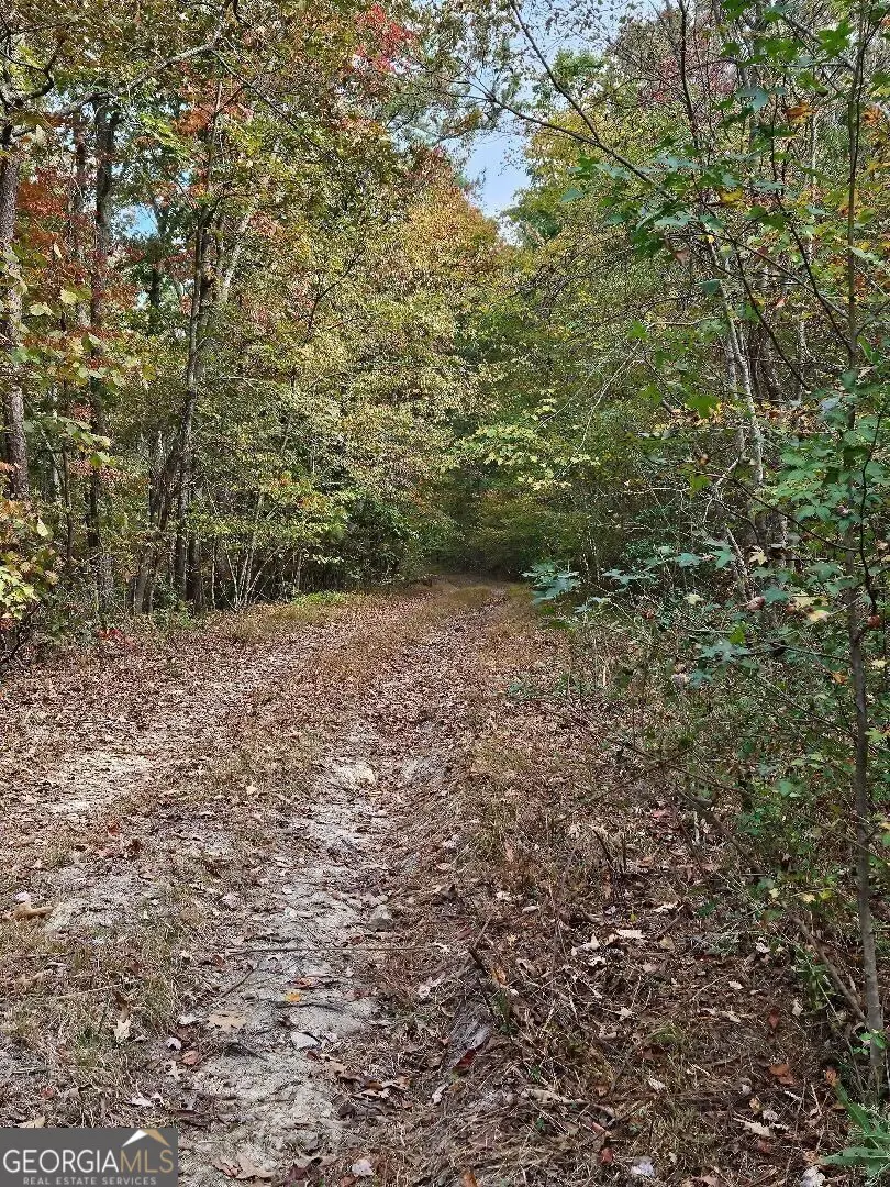 0 Fruit Farm Road, Summerville, GA 30747 - Image #1