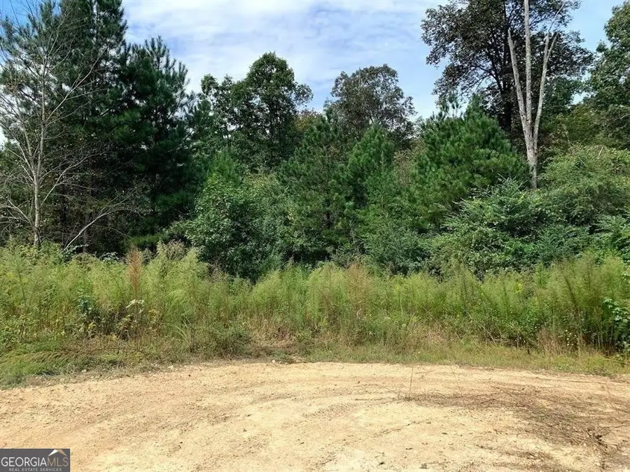 0 Fruit Farm Road, Summerville, GA 30747 - Image #3