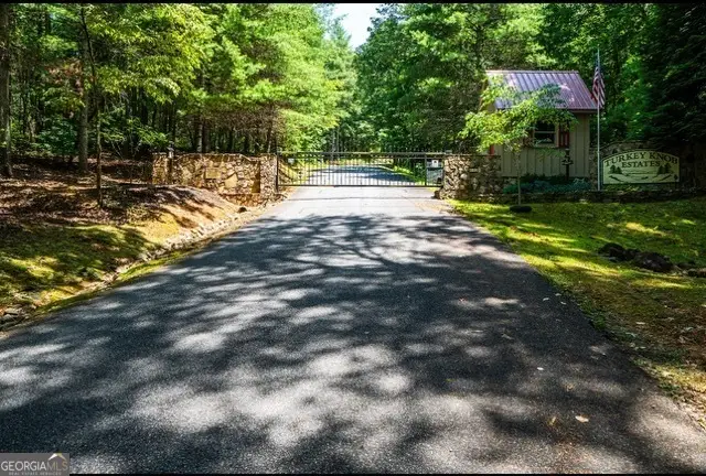 0 Oceola Drive, Ellijay, GA 30540 - Image #3
