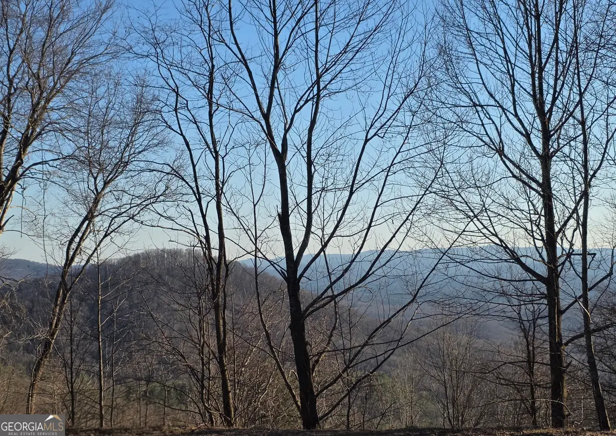 0 Big Creek Road, Ellijay, GA 30536 - #1