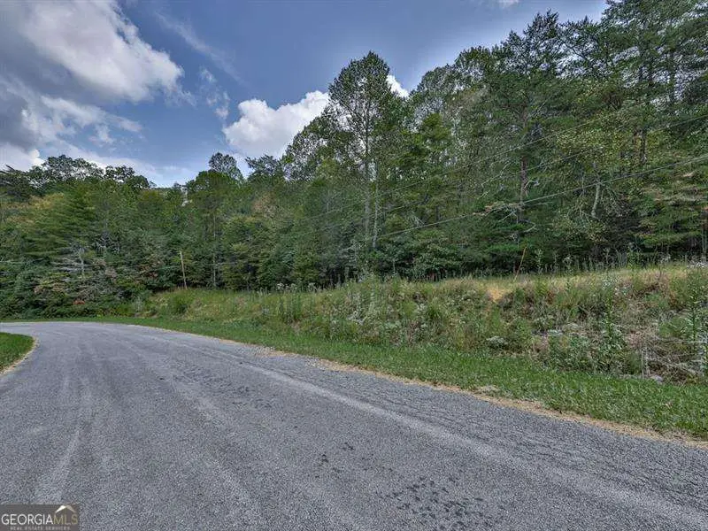 0 Big Creek Road, Ellijay, GA 30536 - #3