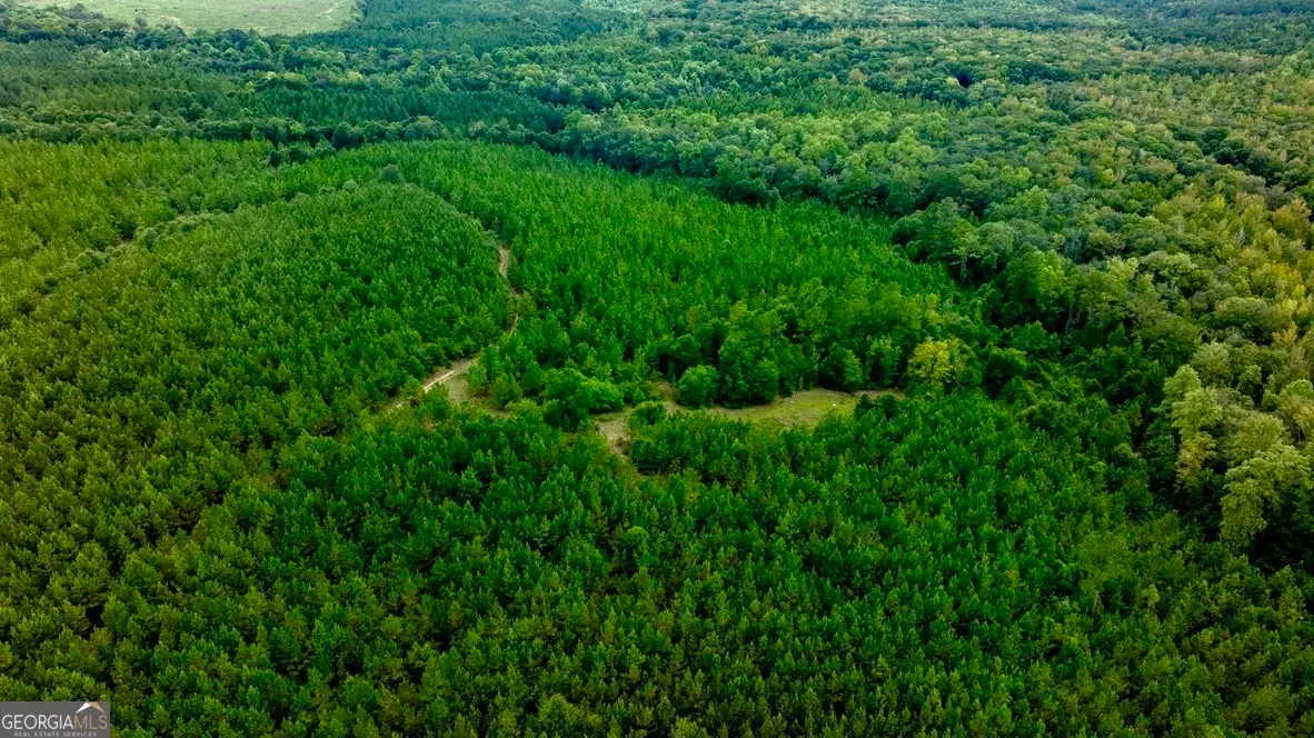 0 Les Smith Road, Ellaville, GA 31806 - Image #1