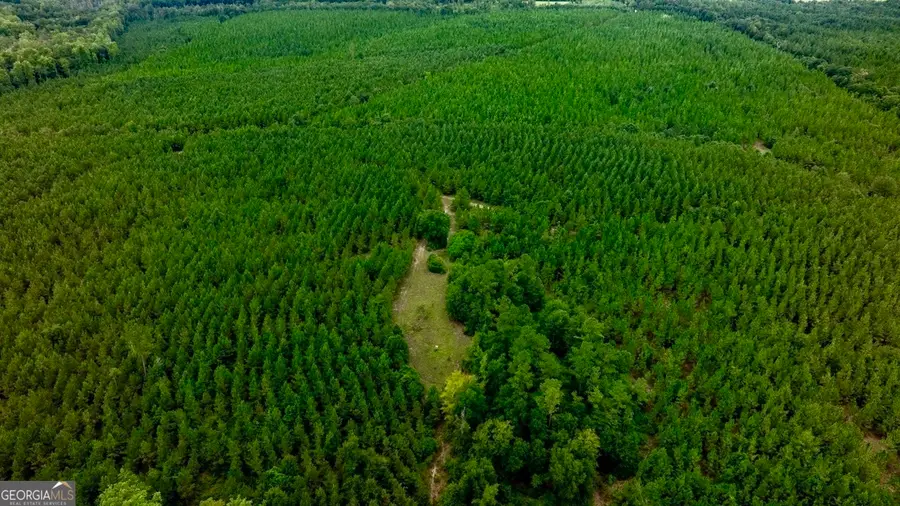 0 Les Smith Road, Ellaville, GA 31806 - Image #2