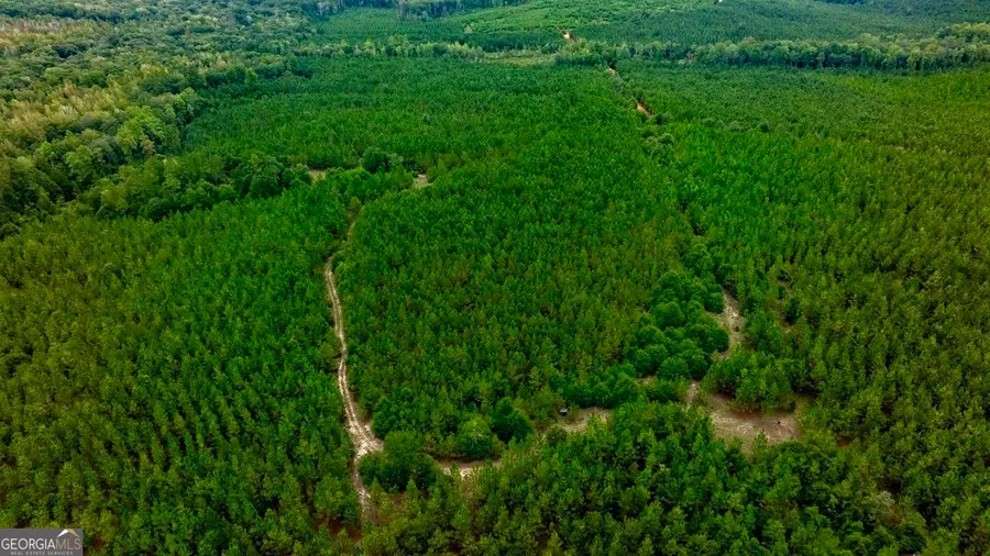 0 Les Smith Road, Ellaville, GA 31806 - Image #3