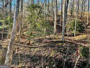 50 Old Stamp Mill Road, Dahlonega, GA 30533 - Image #1