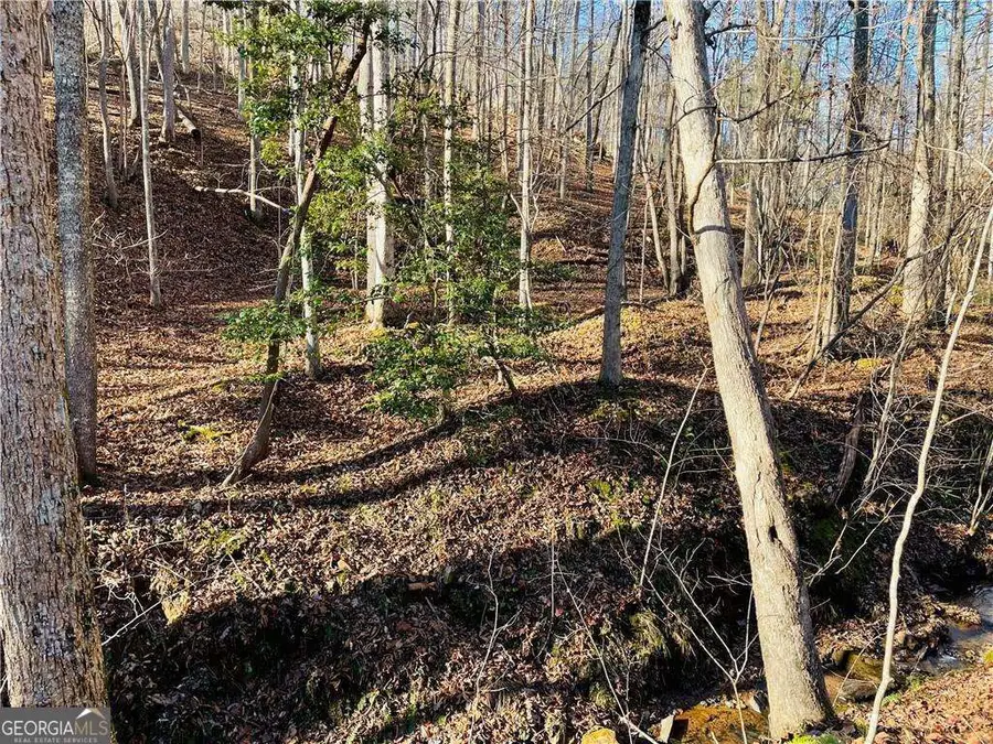 50 Old Stamp Mill Road, Dahlonega, GA 30533 - Image #2