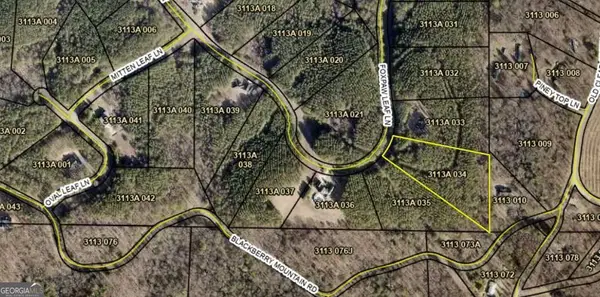 0 Fox Paw Leaf (lot 34) Lane, Ellijay, GA 30540