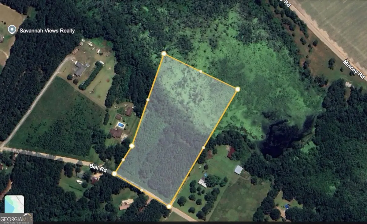 0 Bell Road, Brooklet, GA 30415 - Image #1