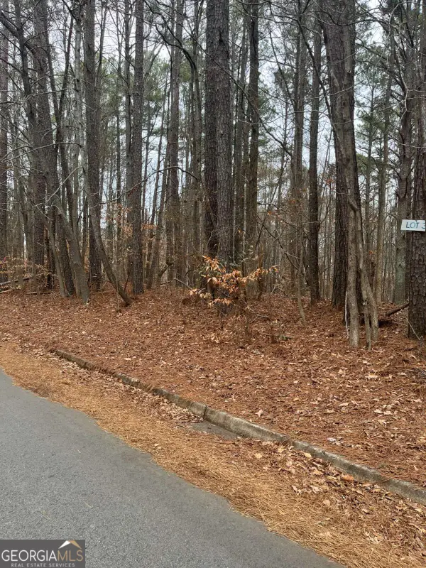 LOT 3 Lake Esther Drive, Fairburn, GA 30213