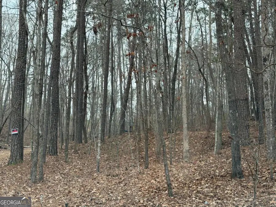 465 Old Fincher Court, Canton, GA 30114 - #2