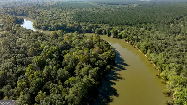 0 Abbeville Highway, Rhine, GA 31077