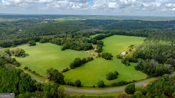 2141 Ebenezer Road, Ellaville, GA 31806