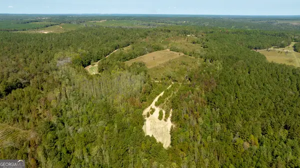 0 Poole Road, Ellaville, GA 31806