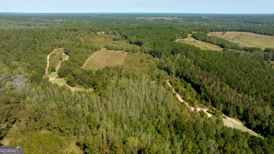 0 Poole Road, Ellaville, GA 31806 - Image #2